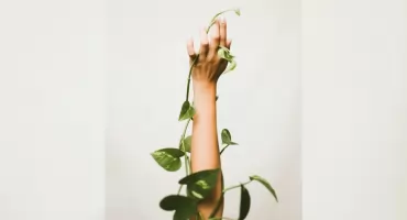 Zanim zrobisz manicure – zadbaj o piękne dłonie i paznokcie z Palu!