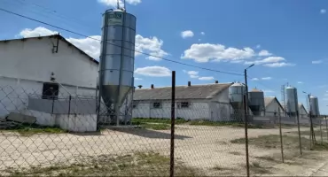 Wyrok za smród z chlewni w Domaszkowicach 