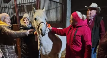 Stowarzyszenia Diabetyków w stadninie