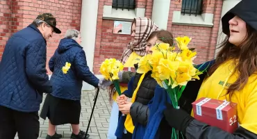 Żonkile znów zakwitną w Nysie. Zbiórka dla Hospicjum w sobotę i niedzielę 
