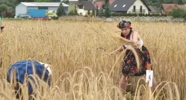 Kosy pójdą w ruch
