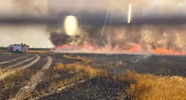 Ogień strawił 60 hektarów zboża