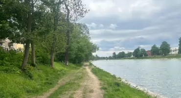 Wycinka nad Nysą Kłodzką