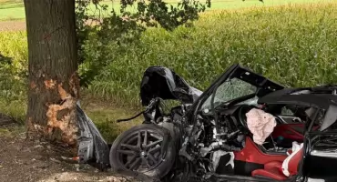 BMW wjechało w drzewo